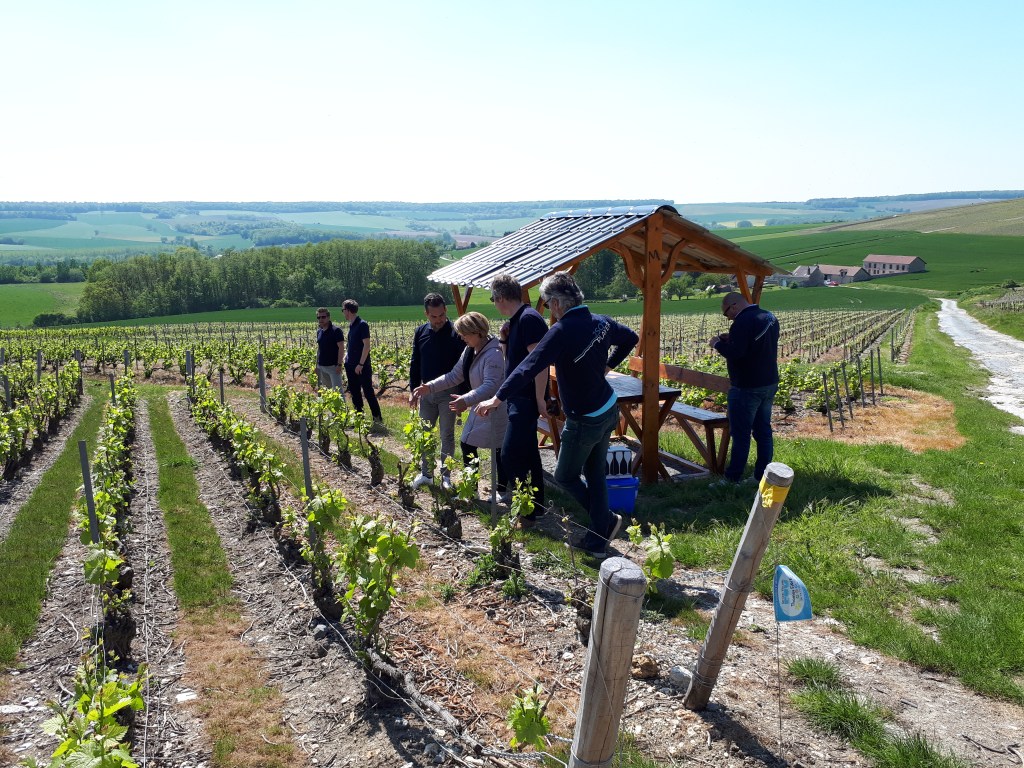 Cette image a un attribut alt vide ; le nom du fichier est evelyne-vigne.jpg